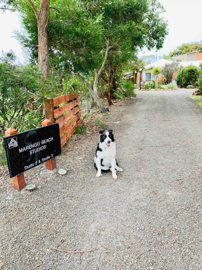 Marengo Beach Studios- Pet Friendly Exteriör bild